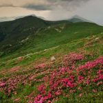 Прогноз погоди на Прикарпатті 26 липня