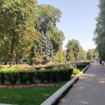 Чи відповідає Франківськ нормам озеленення: в місті провели засідання