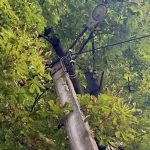 У Калуші оновлюють вуличне освітлення поруч із житлом для внутрішньо переміщених осіб