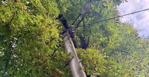 У Калуші оновлюють вуличне освітлення поруч із житлом для внутрішньо переміщених осіб