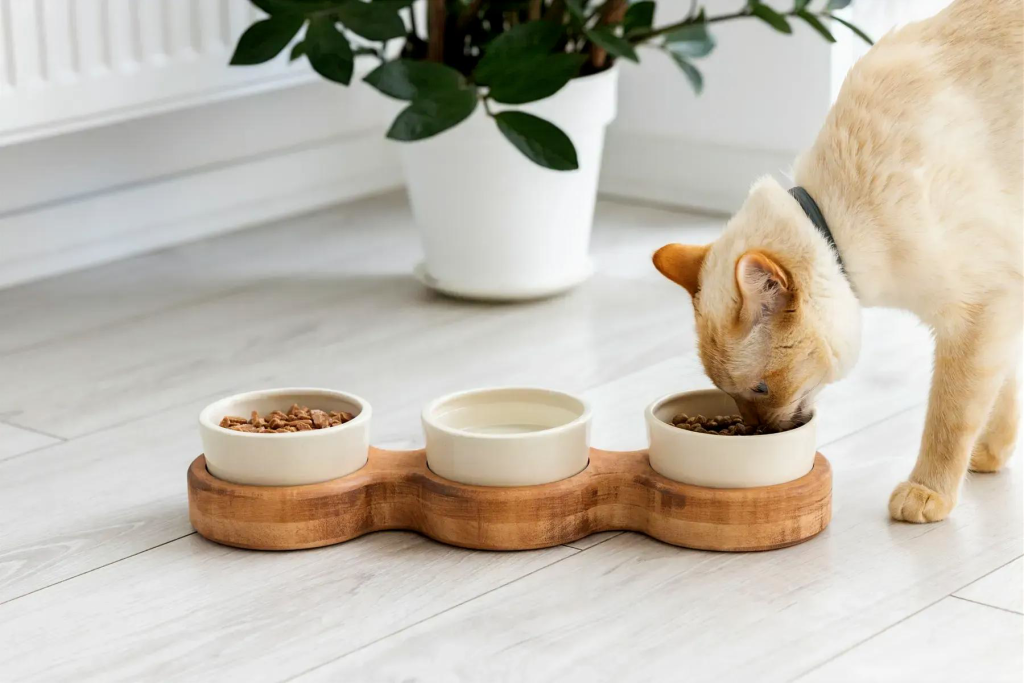 Миски PetJoy на дерев’яній підставці
