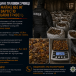 Правоохоронці на Рівненщині конфіскували майже 656 кг бурштину на суму понад мільйон гривень