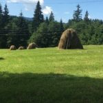 Для жінок-ветеранок проведуть реабілітаційний курс у Карпатах: інструкція зі реєстрації