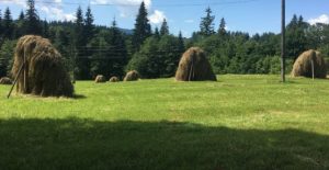 Для жінок-ветеранок проведуть реабілітаційний курс у Карпатах: інструкція зі реєстрації