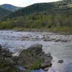 Виявлення кишкової палички у воді річки Бистриця Надвірнянська на Івано-Франківщині: результати повторних аналізів