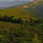 Прокуратура звертається до суду з вимогою від «Лісів України» встановити межі заказника «Грофа»