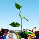 Відходи гниють на узбіччі дороги в Шепарівцях Коломийської громади