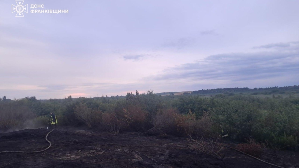 В Прикарпатті пожежники загасили майже всі вогнища пожеж в природних середовищах