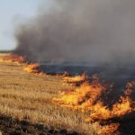 В Прикарпатті з початку року зафіксували близько 1,4 тисячі пожеж в природних середовищах