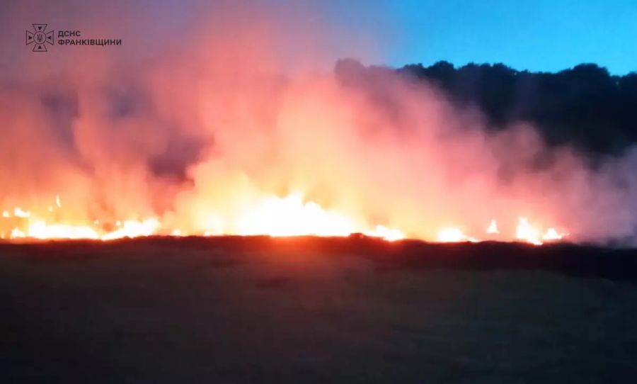 У Томашівцях рятувальники загасили пожежу сухої рослинності на площі 700 квадратних метрів