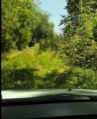 Віддалене село на Прикарпатті залишилося без дороги: жителі нарікають на ізоляцію