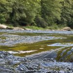 В Івано-Франківській області очікують рекордне обміління річок: оголошено коричневий рівень небезпеки