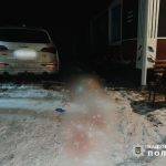 Житель Косівщини засуджений на вісім років за вбивство друга через пошкодження Audi Q5
