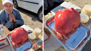 На Заболотівському ринку вразили оригінальним врожаєм