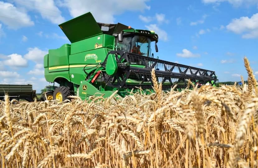 В Івано-Франківській області завершено жнива ранніх зернових і зернобобових культур