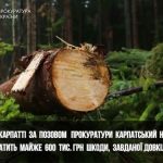 На Прикарпатті через позов прокуратури Карпатський національний парк відшкодує майже 600 тис. грн збитків довкіллю