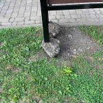 У Тисмениці невідомі зруйнували лавку на новому дитячому майданчику