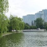 В Івано-Франківську у міському ставку знайшли тіло чоловіка