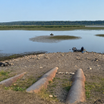 Рожнятівське Чечвинське водосховище пересихає і потребує очищення