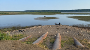 Рожнятівське Чечвинське водосховище пересихає і потребує очищення