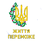 В Обертинському районі пройшов волейбольний турнір «Кубок очільника молодіжної ради»