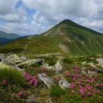 Як безпечно підніматися на вершини і чому маршрут варто починати з «Заросляка»