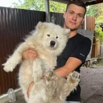 Конфлікт через собаку на «Новій пошті» трапився у Слов’янську, а не у Франківську, працівників залишать на роботі