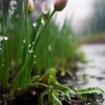 В Західному регіоні 7 серпня очікуються грози, град та сильні опади