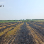 У Радчі під час загоряння сухої трави знайшли чоловіка мертвим