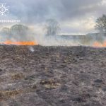 Протягом минулої доби в Прикарпатті ліквідували 13 загорянь сухої рослинності