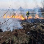 На Прикарпатті рятувальники ліквідували 18 пожеж сухої трави за одну добу