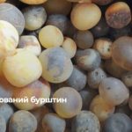 Рівненські митники затримали понад 20 кг прихованого бурштину