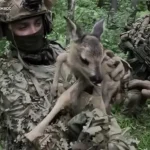 Сили спеціальних операцій звільнили оленятко під час нападу та захопили трьох загарбників