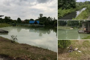 Масова смерть птахів та риби у Калуші: у парковому озері взяли зразки води