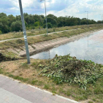 У Франківську на Німецькому озері через посуху впав рівень води