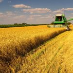 В Івано-Франківській області сільгоспвиробники зібрали понад 253,8 тисяч тонн