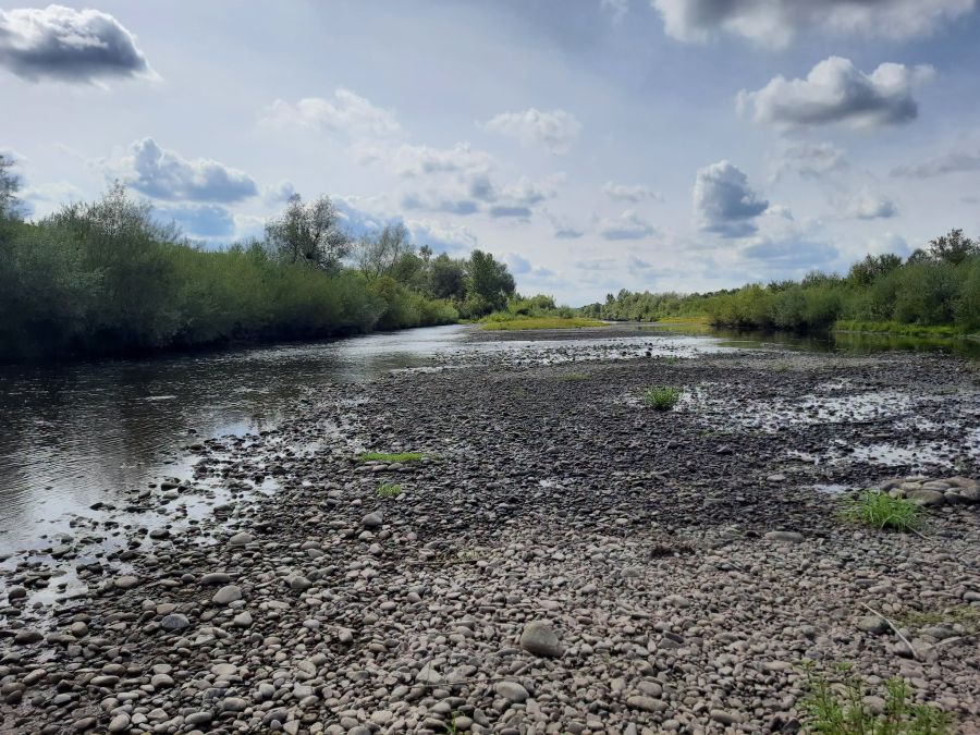 Річка Лімниця на межі екологічної катастрофи: рівень води впав до 19% норми
