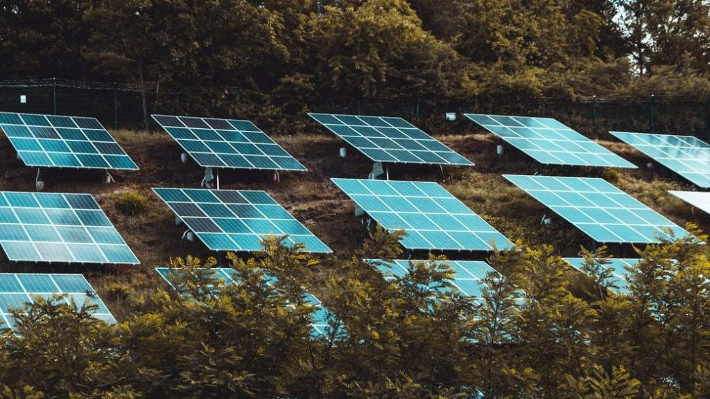 Івано-Франківська область очолює Україну