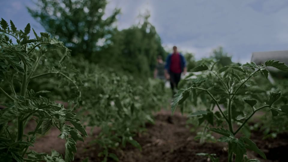 «Звертай увагу на зміни»: основні правила мінної безпеки здатні зберегти життя
