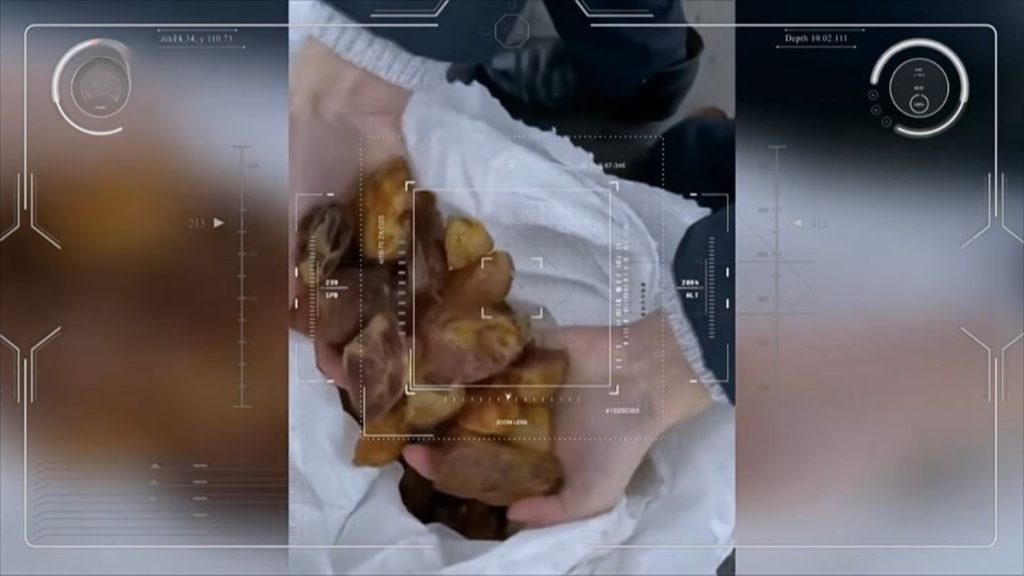 Більше 5800 кг бурштину та більше 354 млн гривень збитків