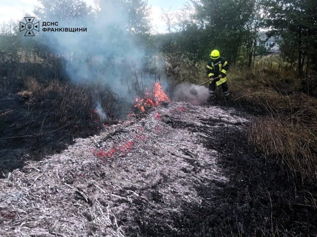 На Прикарпатті рейдові групи використовують дрони для виявлення підпалів у природних екосистемах