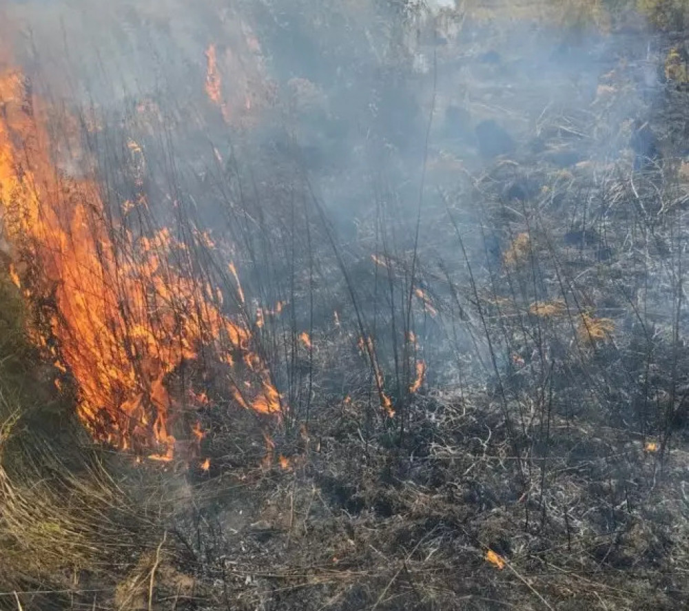 У Калуській громаді під час загоряння сухої трави постраждала 71-річна жінка