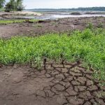 Річки Прикарпаття далі міліють