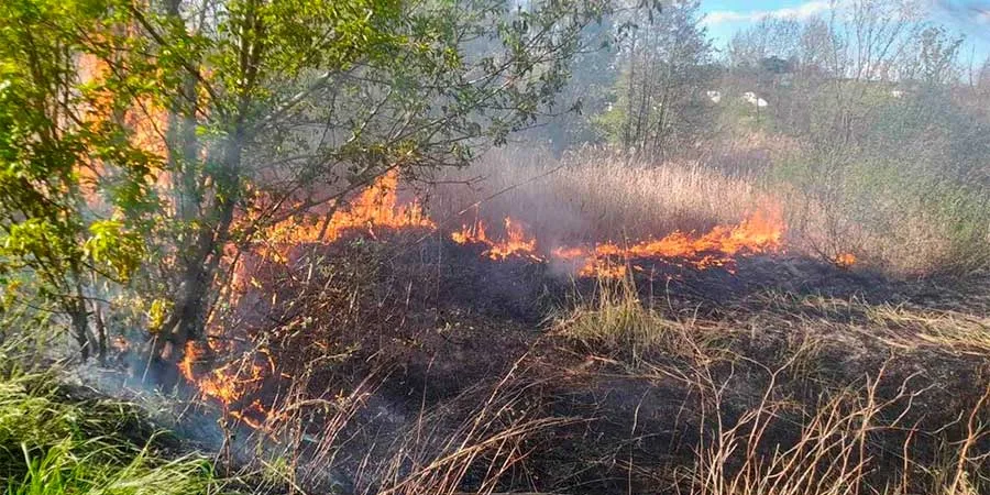 У Надвірнянському районі виникла пожежа – палить суху траву