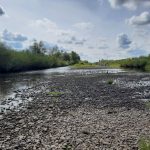 Річка Лімниця на межі екологічної катастрофи: рівень води впав до 19% норми