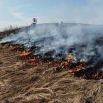 У Калуській ОТГ через загоряння сухої рослинності померла людина