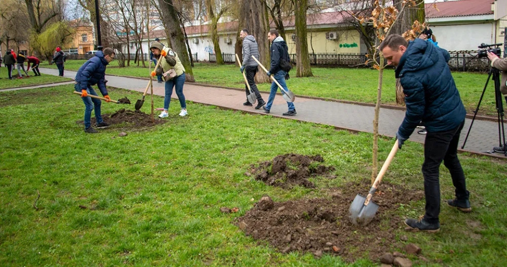 В Івано-Франківську починається кампанія з благоустрою та озеленення міста