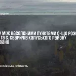 У Рожнятівському районі пожежа охопила 6 гектарів чагарників і торфу