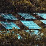 Івано-Франківська область очолює Україну