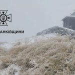 Чи очікуються в Україні заморозки найближчим часом